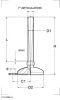 Bolt Down Stainless Steel Adjustable Feet 100mm Dia, M16 x 150mm